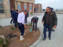 اجرای سنت حسنه درختکاری توسط دانشگاه جامع علمی کاربردی استان اردبیل