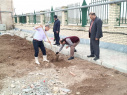 اجرای سنت حسنه درختکاری توسط دانشگاه جامع علمی کاربردی استان اردبیل