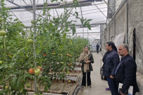 بازدید سرپرست و همکاران دانشگاه جامع علمی کاربردی اردیبل از شرکت شهرک های گلخانه ای استان