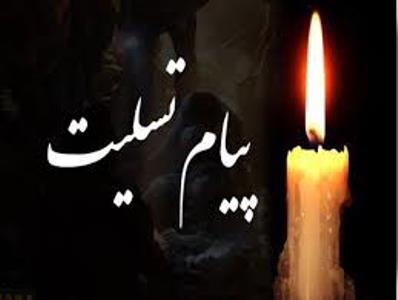 پیام تسلیت رئیس دانشگاه جامع علمی کاربردی استان اردبیل بمناسبت شهادت خلبان میگ ۲۹ ارتش